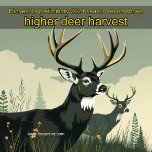 Read more about the article Minnesota preliminary 2024 season report shows higher deer harvest